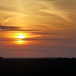 Meet your Posher, Emmetri monica